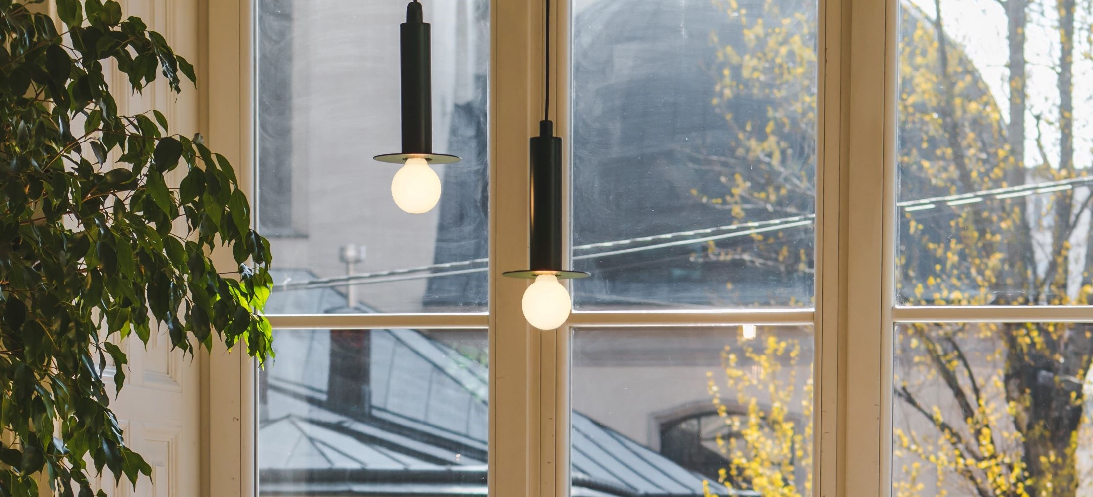 Matte white light bulbs